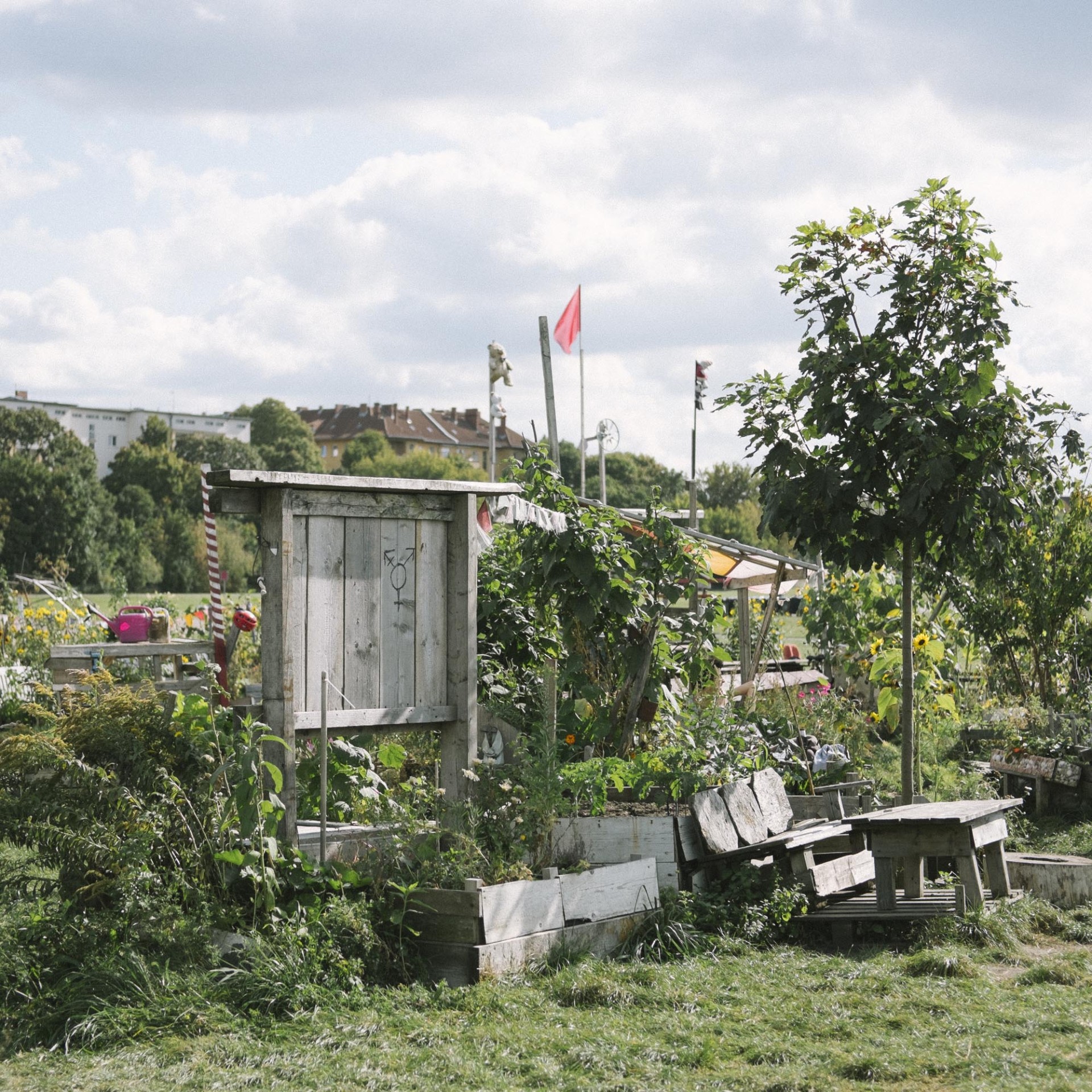 revue-sur-mesure-gemeinschaftsgarten-un-savoir-faire-berlinois_tempelhoferfeld02.jpg