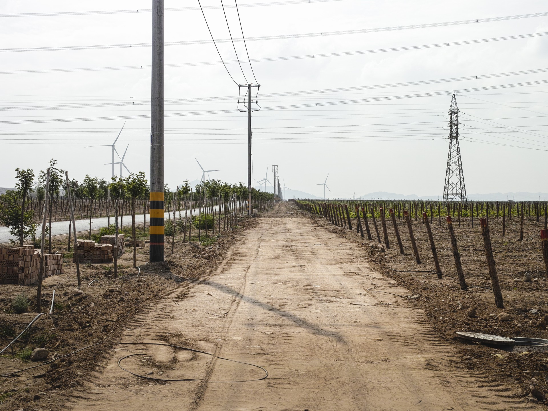 revue-sur-mesure-ningxia_mailhol-luca-03.jpg