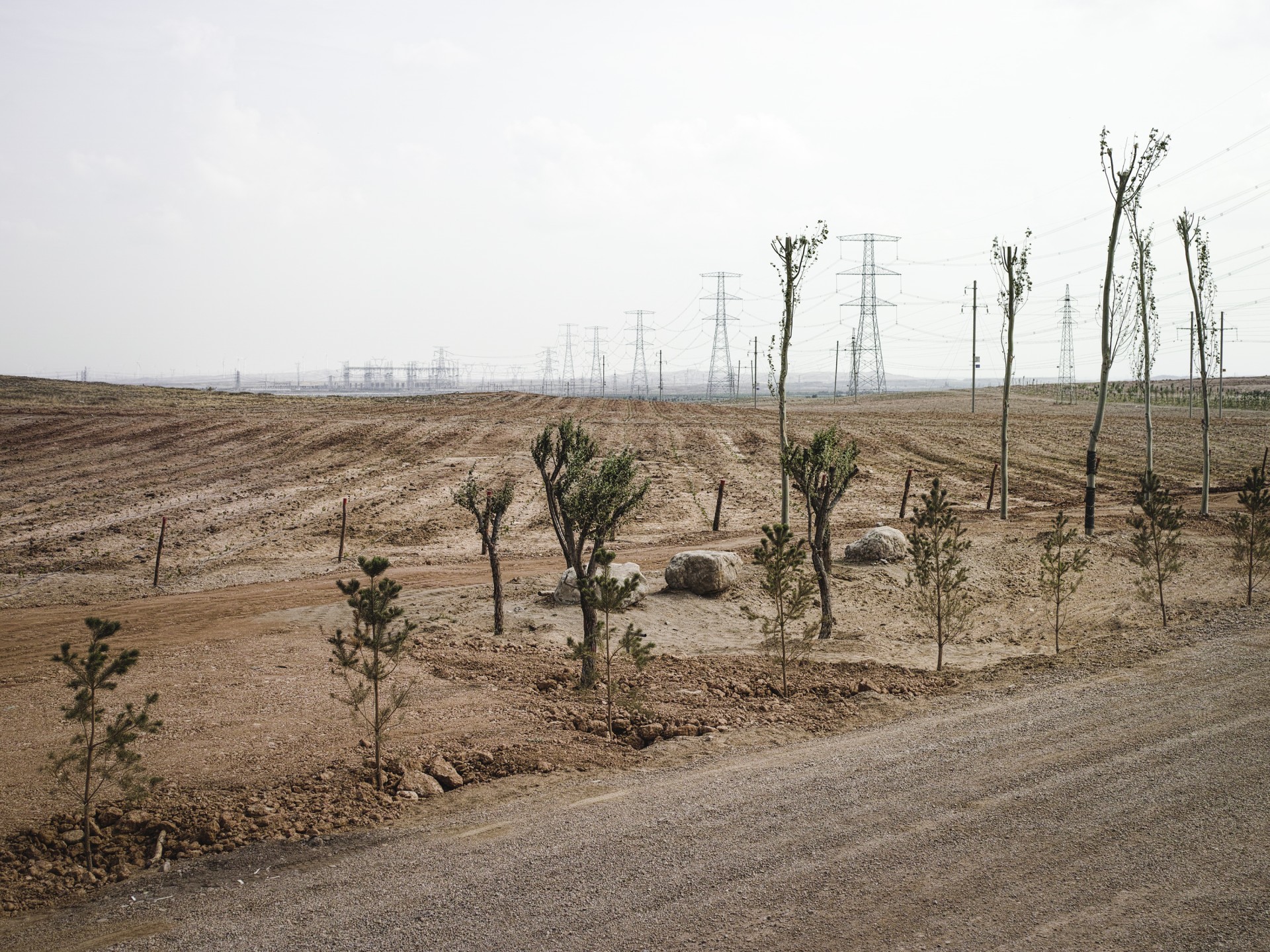 revue-sur-mesure-ningxia_mailhol-luca-07.jpg