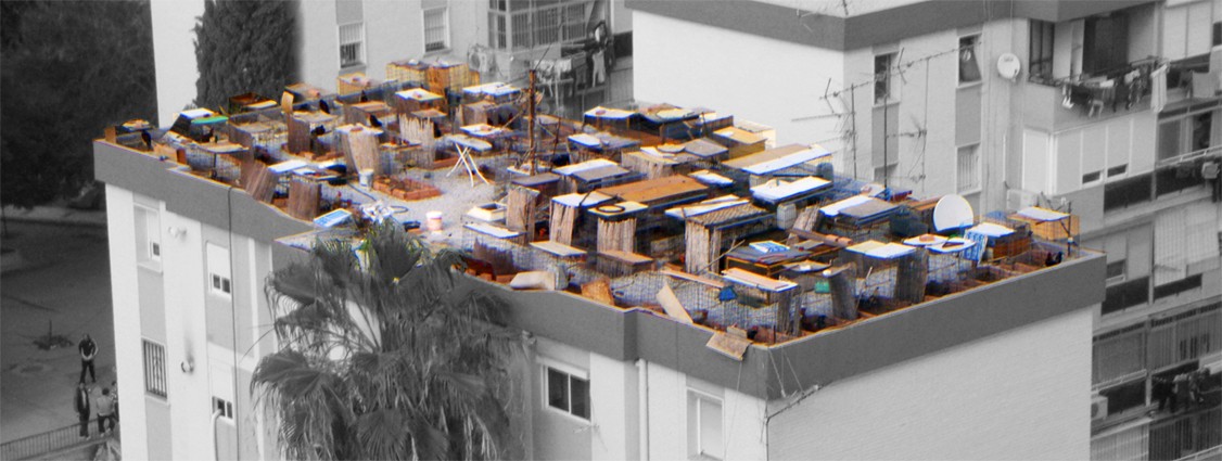 revue-sur-mesure-palma-palmilla-appropriation-et-identite_a009.jpg