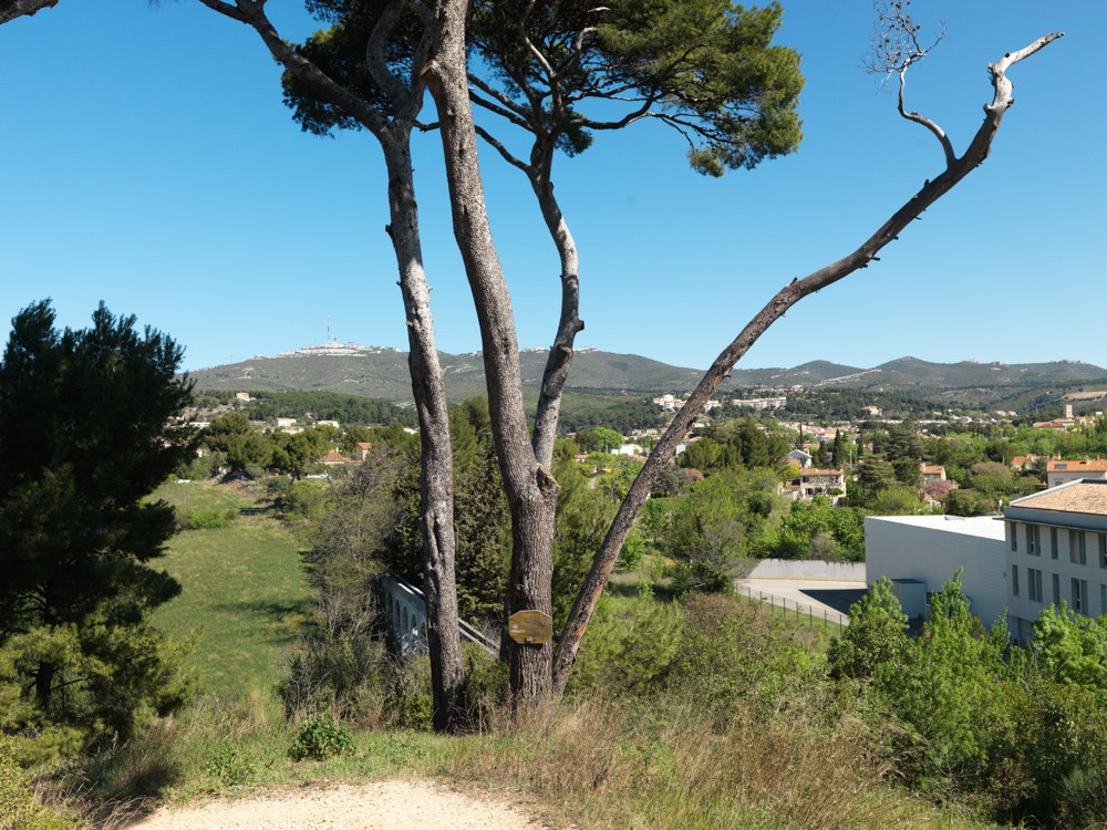 revue-sur-mesure-la-promenade-du-milieu_g.mathieu-promenadedumilieu-33.jpg