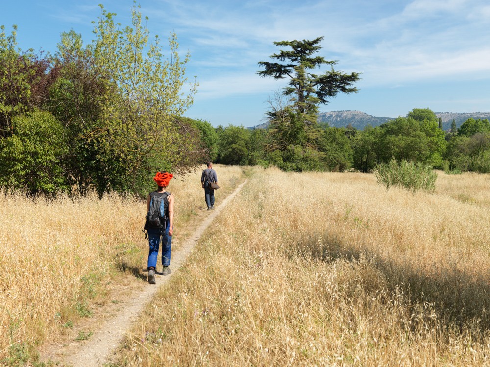 revue-sur-mesure-la-promenade-du-milieu_g.mathieu-promenadedumilieu-36.jpg